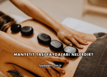Manyetit Taşı Faydaları Nelerdir?