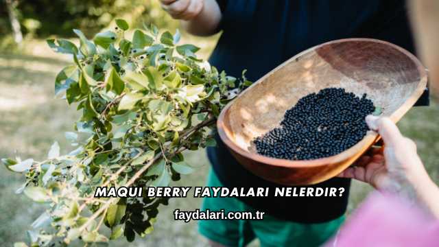 Maqui Berry Faydaları Nelerdir?