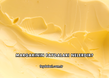 Margarinin Faydaları Nelerdir?