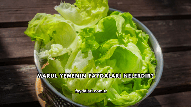 Marul Yemenin Faydaları Nelerdir?
