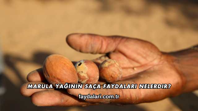 Marula Yağının Saça Faydaları Nelerdir?