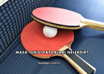 Masa Tenisi Faydaları Nelerdir?