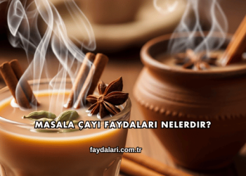 Masala Çayı Faydaları Nelerdir?