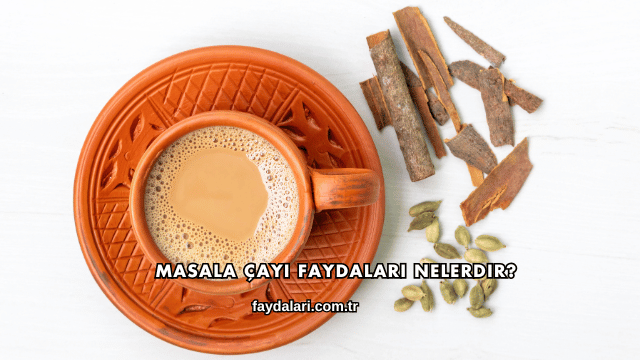 Masala Çayı Faydaları Nelerdir?