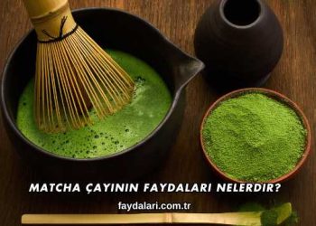 Matcha Çayının Faydaları Nelerdir?
