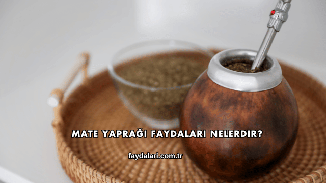 Mate Yaprağı Faydaları Nelerdir?