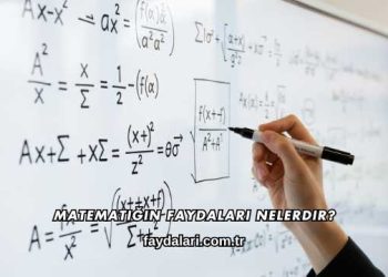 Matematiğin Faydaları Nelerdir?