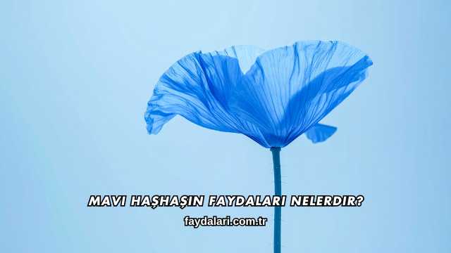 Mavi Haşhaşın Faydaları Nelerdir?
