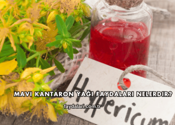 Mavi Kantaron Yağı Faydaları Nelerdir?