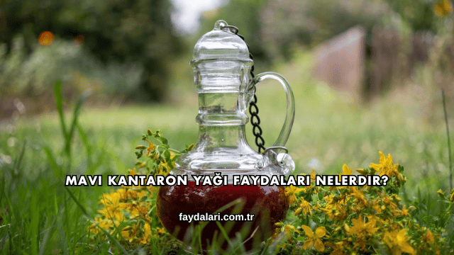 Mavi Kantaron Yağı Faydaları Nelerdir?