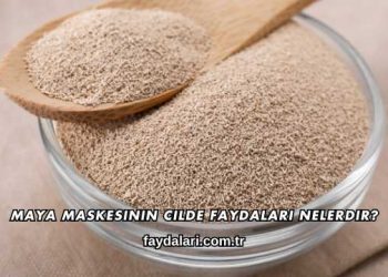 Maya Maskesinin Cilde Faydaları Nelerdir?