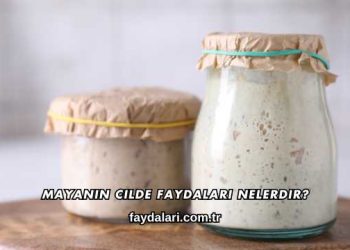 Mayanın Cilde Faydaları Nelerdir?