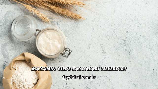 Mayanın Cilde Faydaları Nelerdir?