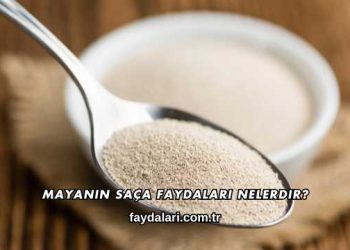 Mayanın Saça Faydaları Nelerdir?