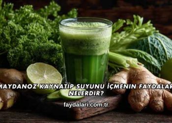 Maydanoz Kaynatıp Suyunu İçmenin Faydaları Nelerdir?