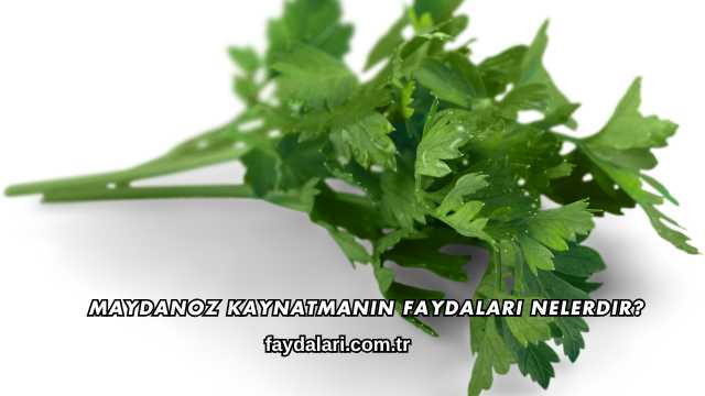 Maydanoz Kaynatmanın Faydaları Nelerdir?