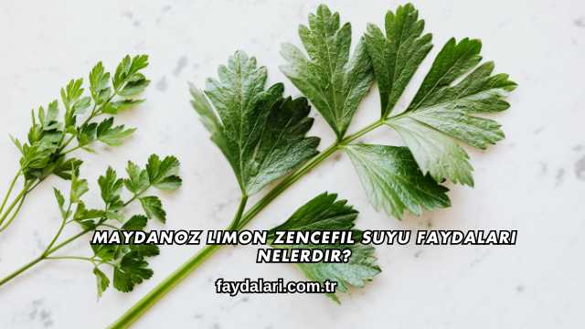 Maydanoz Limon Zencefil Suyu Faydaları Nelerdir?