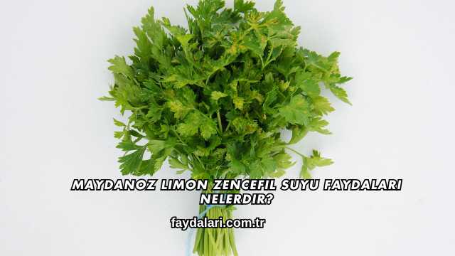 Maydanoz Limon Zencefil Suyu Faydaları Nelerdir?