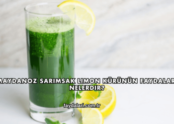 Maydanoz Sarımsak Limon Kürünün Faydaları Nelerdir?
