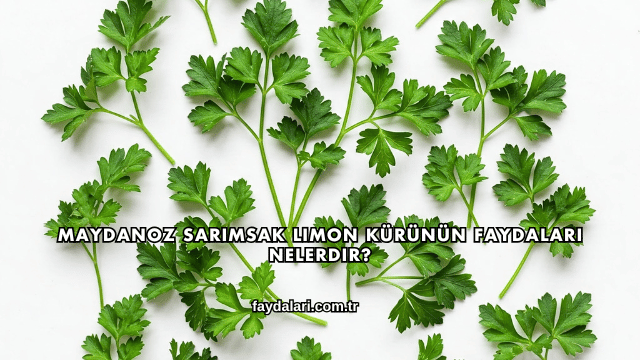 Maydanoz Sarımsak Limon Kürünün Faydaları Nelerdir?