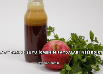 Maydanoz Suyu İçmenin Faydaları Nelerdir?