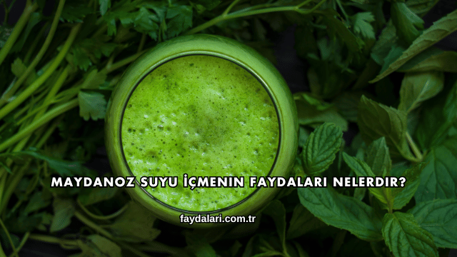 Maydanoz Suyu İçmenin Faydaları Nelerdir?