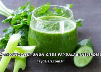 Maydanoz Suyunun Cilde Faydaları Nelerdir?