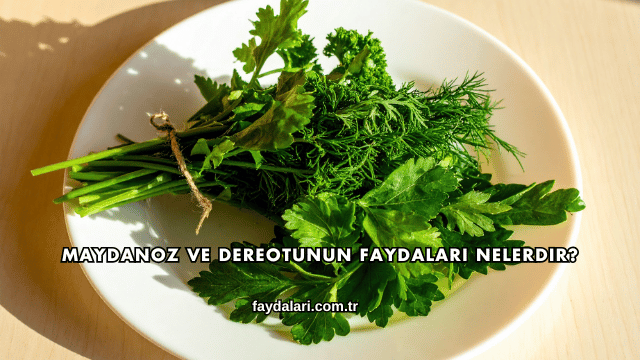 Maydanoz ve Dereotunun Faydaları Nelerdir?