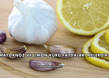 Maydanoz ve Limon Kürü Faydaları Nelerdir?