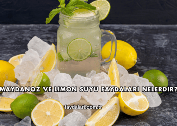 Maydanoz ve Limon Suyu Faydaları Nelerdir?