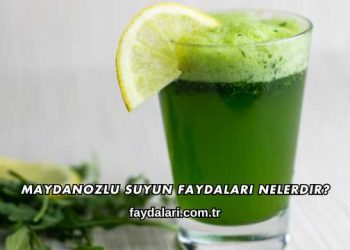 Maydanozlu Suyun Faydaları Nelerdir?