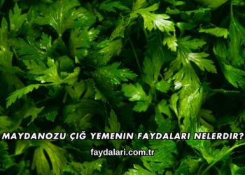 Maydanozu Çiğ Yemenin Faydaları Nelerdir?
