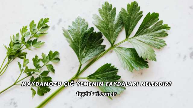 Maydanozu Çiğ Yemenin Faydaları Nelerdir?