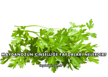 Maydanozun Cinselliğe Faydaları Nelerdir?