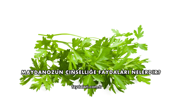 Maydanozun Cinselliğe Faydaları Nelerdir?