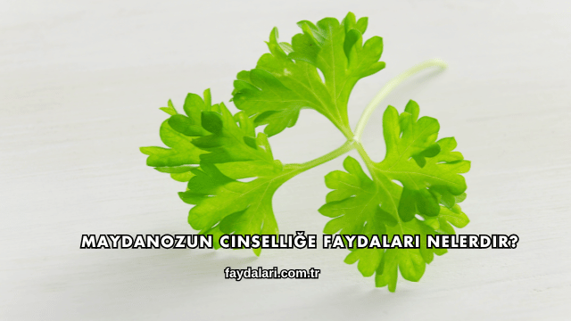 Maydanozun Cinselliğe Faydaları Nelerdir?