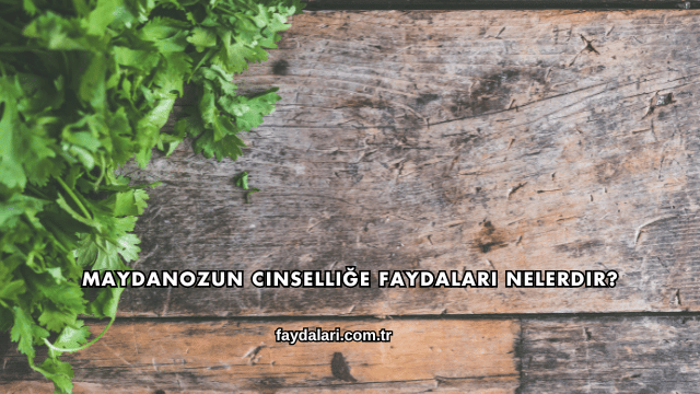 Maydanozun Cinselliğe Faydaları Nelerdir?