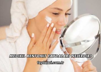 Medikil Bentonit Faydaları Nelerdir?
