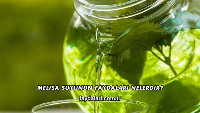 Melisa Suyunun Faydaları Nelerdir?