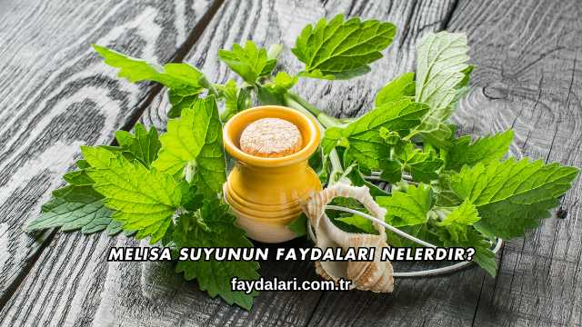 Melisa Suyunun Faydaları Nelerdir?