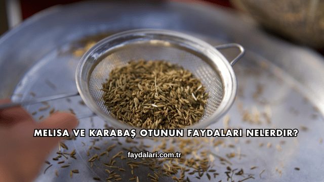 Melisa ve Karabaş Otunun Faydaları Nelerdir?