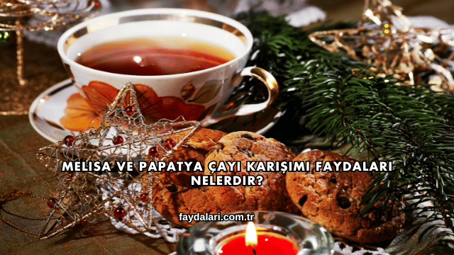 Melisa ve Papatya Çayı Karışımı Faydaları Nelerdir?