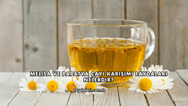 Melisa ve Papatya Çayı Karışımı Faydaları Nelerdir?