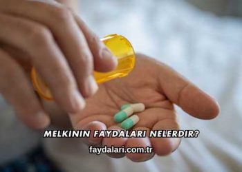 Melkinin Faydaları Nelerdir?