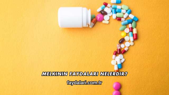 Melkinin Faydaları Nelerdir?