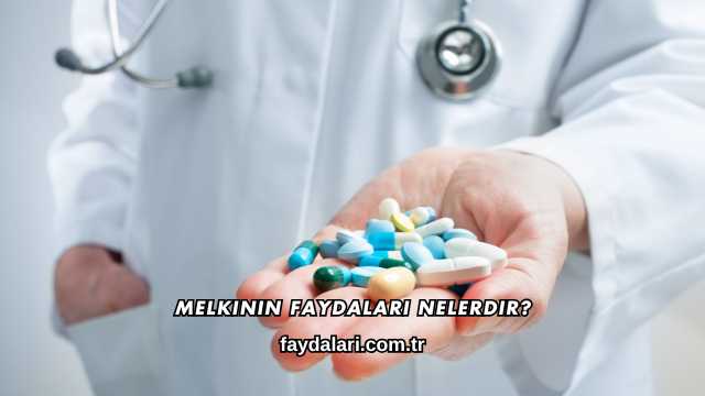 Melkinin Faydaları Nelerdir?