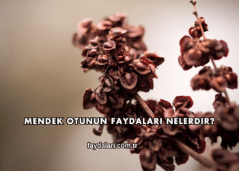 Mendek Otunun Faydaları Nelerdir?