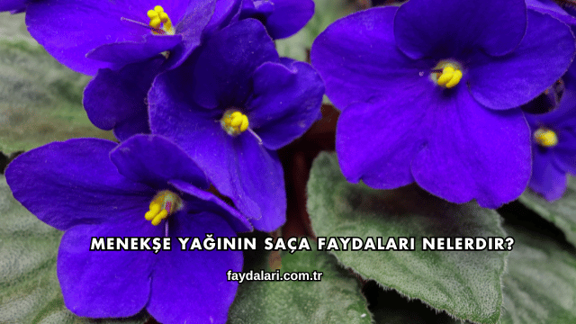 Menekşe Yağının Saça Faydaları Nelerdir?