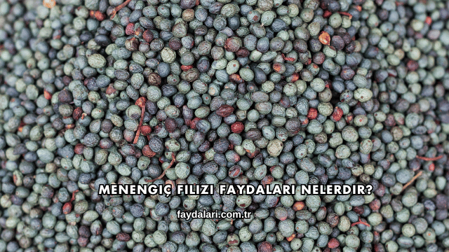 Menengiç Filizi Faydaları Nelerdir?