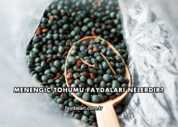 Menengiç Tohumu Faydaları Nelerdir?